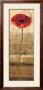 Poppy Panel Ii by Andrea Kahn Limited Edition Print