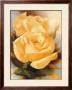 Yellow Roses by Igor Levashov Limited Edition Print