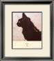Lithograph, 1894 by Theophile Alexandre Steinlen Limited Edition Pricing Art Print