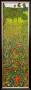 Campo Di Papaveri by Gustav Klimt Limited Edition Pricing Art Print