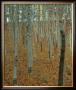Forest Of Beech Trees by Gustav Klimt Limited Edition Pricing Art Print