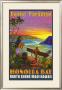 Hawaii, Honolua Bay, Maui by Rick Sharp Limited Edition Pricing Art Print