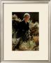 O`Keeffe With Chamisa by Springmann Limited Edition Print