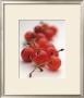 Cherries by Tim Hill Limited Edition Pricing Art Print