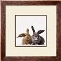 Rabbits by Vikki Hart Limited Edition Pricing Art Print