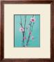 Plum Blossom by Natalie Lane Limited Edition Print