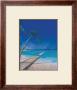 Bahama Beach by Fred Fieber Limited Edition Print