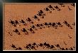 Caravanes De Dromadaires Pres De Fachi by Yann Arthus-Bertrand Limited Edition Print