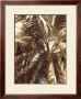Palm Tree I by Rene Griffith Limited Edition Pricing Art Print