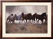 Grassland Herd by David R. Stoecklein Limited Edition Pricing Art Print