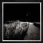 Moonrise by David Fokos Limited Edition Print