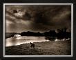 Horse Looking At The River, Normandie 99 by Olivier Meriel Limited Edition Print