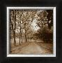 Country Road by Sondra Wampler Limited Edition Print