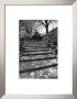 Stairs Up, Central Park, New York City by Bill Perlmutter Limited Edition Pricing Art Print
