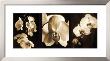 Orchid Trio by Caroline Kelly Limited Edition Pricing Art Print