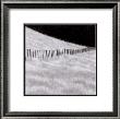 Fence And Field by Chip Forelli Limited Edition Print