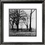 Woods With Fence by Harold Silverman Limited Edition Pricing Art Print