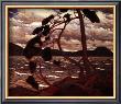 West Wind by Tom Thomson Limited Edition Print