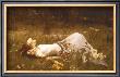 Ophelia, C.1889 by John William Waterhouse Limited Edition Print