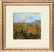 Field With Poppies by Vincent Van Gogh Limited Edition Pricing Art Print