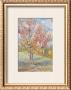 Peach Tree In Bloom At Arles, C.1888 by Vincent Van Gogh Limited Edition Pricing Art Print