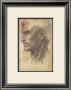 Head Of An Apostle by Andrea Del Sarto Limited Edition Print