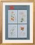 A Thousand Dreams by Salvador Dali Limited Edition Print