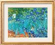 Irises, C.1889 by Vincent Van Gogh Limited Edition Pricing Art Print