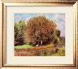 Blumender Kastanienbaum by Pierre-Auguste Renoir Limited Edition Print
