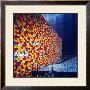 The Wall, Gasometer, Oberhausen, 1999, No. 3 by Christo Limited Edition Print