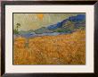 The Harvester by Vincent Van Gogh Limited Edition Print
