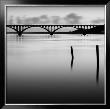 Bridge And Poles In Black And White by Shane Settle Limited Edition Print