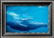 Humpback Mother And Calf by Michael S. Nolan Limited Edition Pricing Art Print