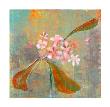 Orchid Study 2 by Maeve Harris Limited Edition Print