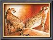 Couple by Arkadiusz Warminski Limited Edition Print