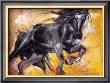 Black Arabian Beauty by Joadoor Limited Edition Pricing Art Print