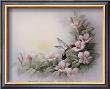 Hummingbird And Hibiscus by T. C. Chiu Limited Edition Print