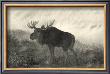 American Moose by R. Hinshelwood Limited Edition Print