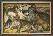 Dog Breeds I by Henry J. Johnson Limited Edition Print