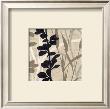 Botanical Elements Iv by Melissa Pluch Limited Edition Print
