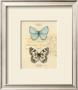 Duet Papillon by Chad Barrett Limited Edition Print