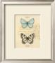 Duet Papillon by Chad Barrett Limited Edition Pricing Art Print