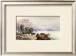 Buffalo Watering by Thomas Moran Limited Edition Print