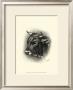 Antique Cattle Iv by F. Lehnert Limited Edition Print