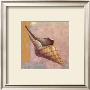 Small Snail by A. Lopez Limited Edition Pricing Art Print