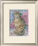 Tabby On A Windowsill by Fay Powell Limited Edition Pricing Art Print