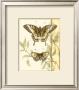 Tandem Butterflies Ii by Jennifer Goldberger Limited Edition Pricing Art Print