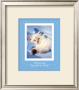 Hard-To-Pet by Rachael Hale Limited Edition Print