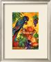 Parrot by Gemma Cotsen Limited Edition Print