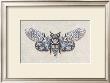 Fly Away by Jennifer Brice Limited Edition Print